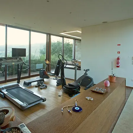 Raizes E Particulas *