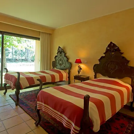 Dom wakacyjny Raizes E Particulas *