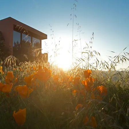 Raizes E Particulas Holiday home