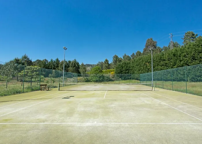 Raizes E Particulas Nyaraló