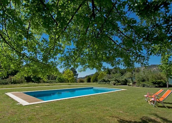 Nyaraló Raizes E Particulas *