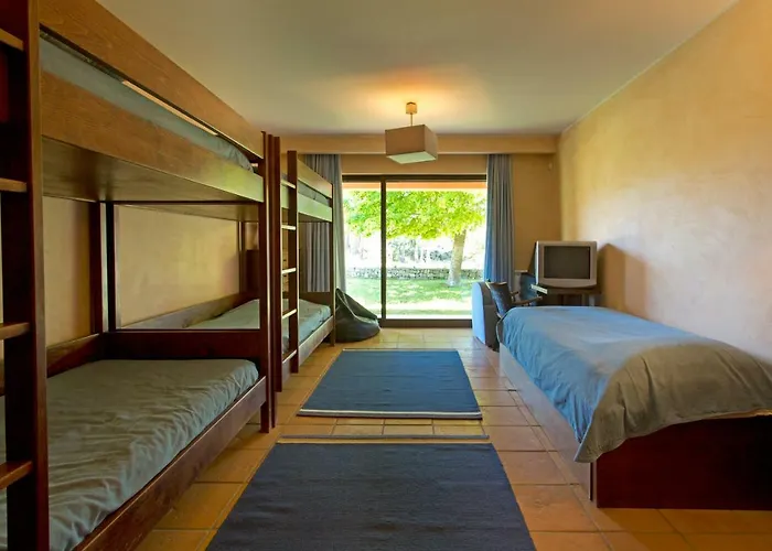 Raizes E Particulas *