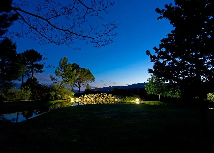 Raizes E Particulas *