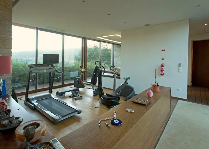 Raizes E Particulas *