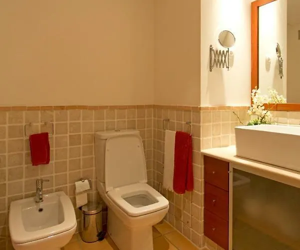 Raizes E Particulas Nyaraló