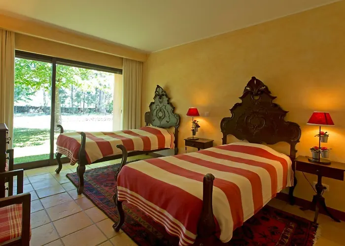 Nyaraló Raizes E Particulas *