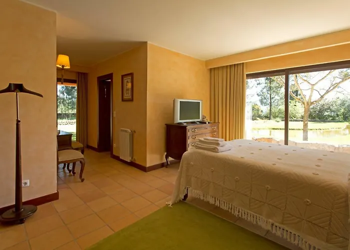 Raizes E Particulas Nyaraló