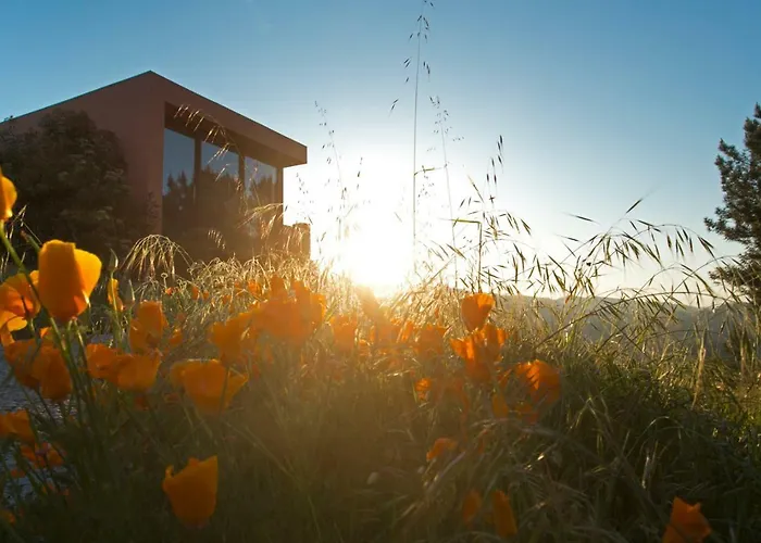 Raizes E Particulas Nyaraló