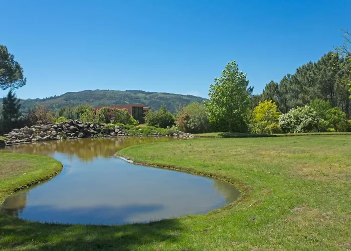Raizes E Particulas Nyaraló Baião