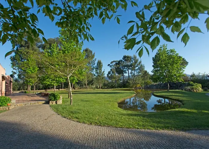 Raizes E Particulas Nyaraló